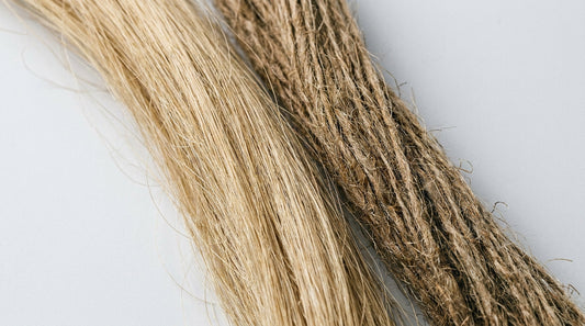 Chanvre vs lin textile | Lequel choisir pour vos vêtements ?