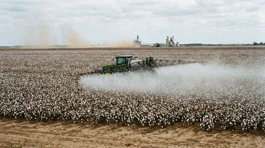 Coton bio vs coton – 7 différences clés à connaître